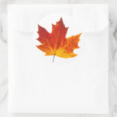 Kleurrijk esdoornblad ronde sticker (Tas)