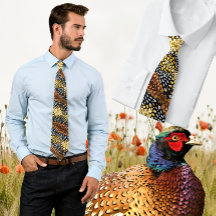 Kleurrijk fazant veer ontwerp - bruin, geel,