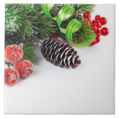 Kleurrijk Fruit Modern Classy Afbeelding Tegeltje (Voorkant)