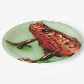 Kleurrijk geïllustreerd papieren bord - Kikker (Gekanteld)