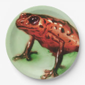 Kleurrijk geïllustreerd papieren bord - Kikker (Voorkant)
