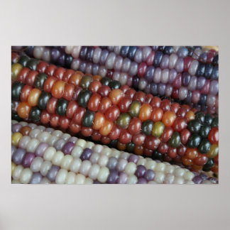 Kleurrijk Gem Corn op de Cob. Poster