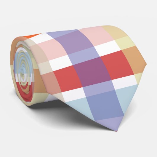 Kleurrijk geruite controlepatroon stropdas (Opgerold)