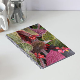 Kleurrijk Harige Begonia Bloem Notitieboek