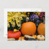 Kleurrijk herfst decoratief pompoenscherm briefkaart (Voorkant / Achterkant)