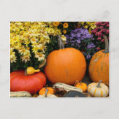 Kleurrijk herfst decoratief pompoenscherm briefkaart (Voorkant)