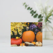 Kleurrijk herfst decoratief pompoenscherm briefkaart (Staand voorkant)