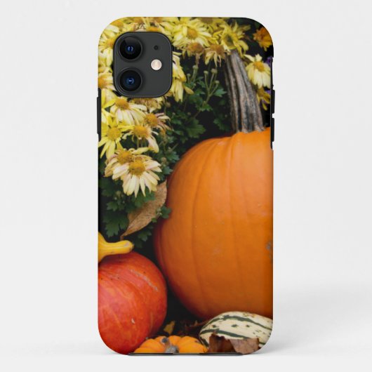 Kleurrijk herfst decoratief pompoenscherm Case-Mate iPhone case (Achterkant)