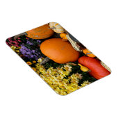 Kleurrijk herfst decoratief pompoenscherm magneet (Rechterzijde)