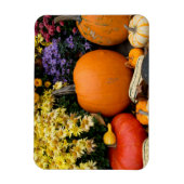 Kleurrijk herfst decoratief pompoenscherm magneet (Verticaal)