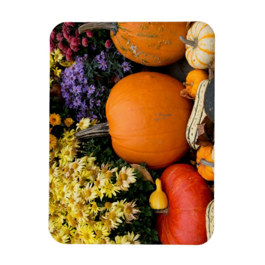 Kleurrijk herfst decoratief pompoenscherm magneet (Verticaal)