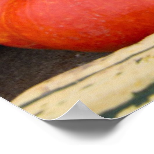 Kleurrijk herfst decoratief pompoenscherm poster (Hoek)