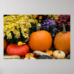 Kleurrijk herfst decoratief pompoenscherm poster