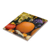 Kleurrijk herfst decoratief pompoenscherm tegeltje (Zijkant)