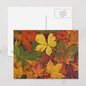 Kleurrijk herfstblad briefkaart (Voorkant / Achterkant)