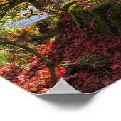 Kleurrijk herfstbladeren en bomen landschap poster (Hoek)