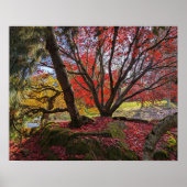 Kleurrijk herfstbladeren en bomen landschap poster (Voorkant)