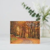 Kleurrijk Herfstpad Briefkaart (Staand voorkant)