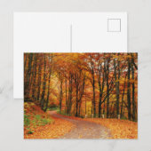 Kleurrijk Herfstpad Briefkaart (Voorkant / Achterkant)