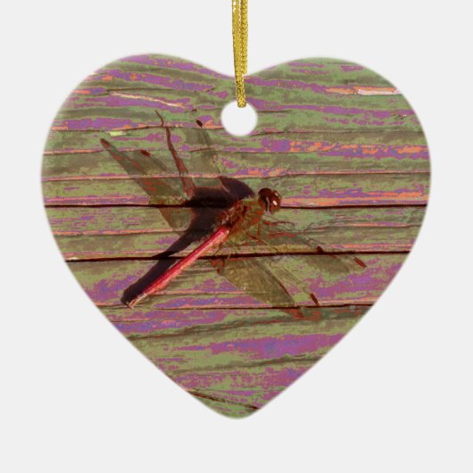 Kleurrijk keramiek ornament van een libel (Voorkant)