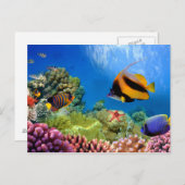 Kleurrijk koraal en tropische vis briefkaart (Voorkant / Achterkant)