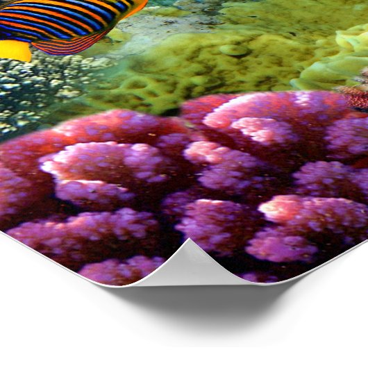 Kleurrijk koraal en tropische vis poster (Hoek)