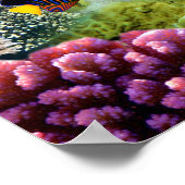 Kleurrijk koraal en tropische vis poster (Hoek)