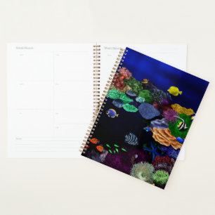 Kleurrijk koraal en visrif planner