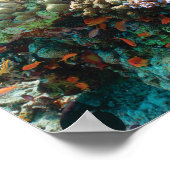 Kleurrijk koraalrif met tropische visserij poster (Hoek)