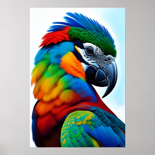 Kleurrijk Macaw Parrot Poster voor vogelschilderen (Voorkant)