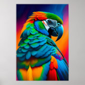 Kleurrijk Macaw Parrot Poster voor vogelschilderen (Voorkant)