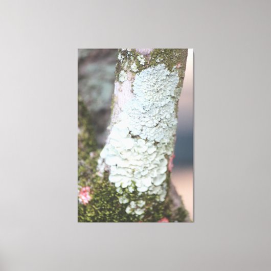 Kleurrijk Natuur Canvas Afdruk (Voorkant)