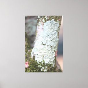 Kleurrijk Natuur Canvas Afdruk