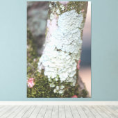 Kleurrijk Natuur Canvas Afdruk (Insitu (Houten vloer))