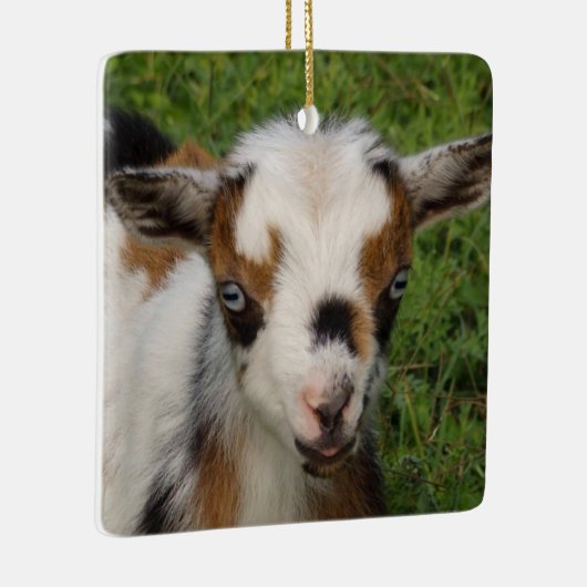 Kleurrijk Nigeriaans Kind van geit met blauwe ogen Keramisch Ornament (Rechts)