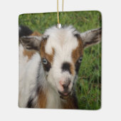 Kleurrijk Nigeriaans Kind van geit met blauwe ogen Keramisch Ornament (Links)