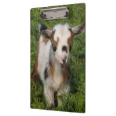 Kleurrijk Nigeriaans Kind van geit met blauwe ogen Klembord (Links)