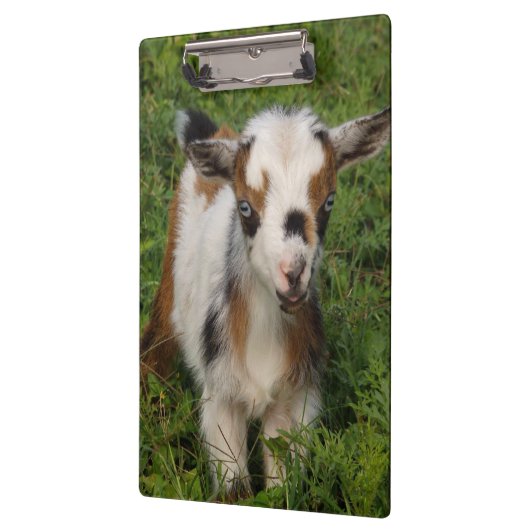 Kleurrijk Nigeriaans Kind van geit met blauwe ogen Klembord (Links)