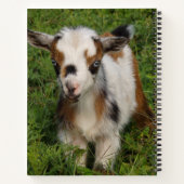 Kleurrijk Nigeriaans Kind van geit met blauwe ogen Notitieboek (Achterkant)