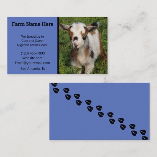 Kleurrijk Nigeriaans Kind van geit met blauwe ogen Visitekaartje (Voorkant / Achterkant)