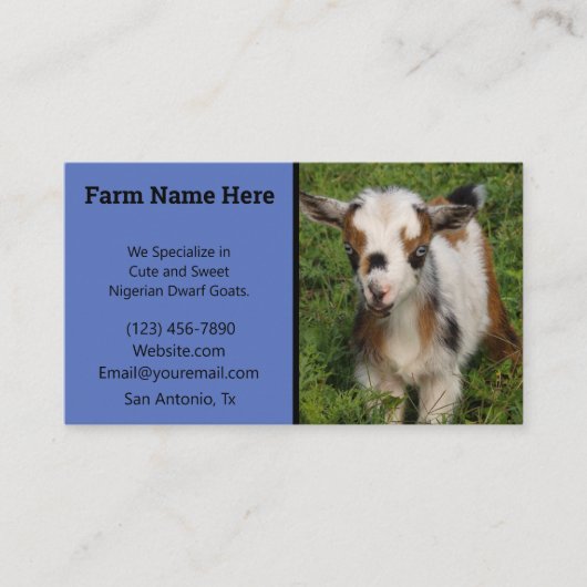 Kleurrijk Nigeriaans Kind van geit met blauwe ogen Visitekaartje (Voorkant)