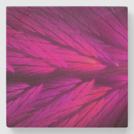 Kleurrijk Onderzetter van het fractaal vierkant