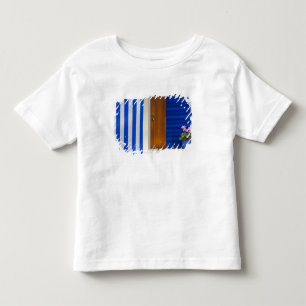 Kleurrijk ontwerpcontrast op residentie kinder shirts