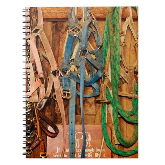 Kleurrijk paard, tack, dieren, schuur, blauw, brui notitieboek (Voorkant)