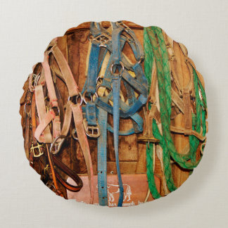 Kleurrijk paard, tack, dieren, schuur, blauw, brui rond kussen