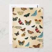 kleurrijk patroon ter illustratie van vlinder briefkaart (Voorkant / Achterkant)