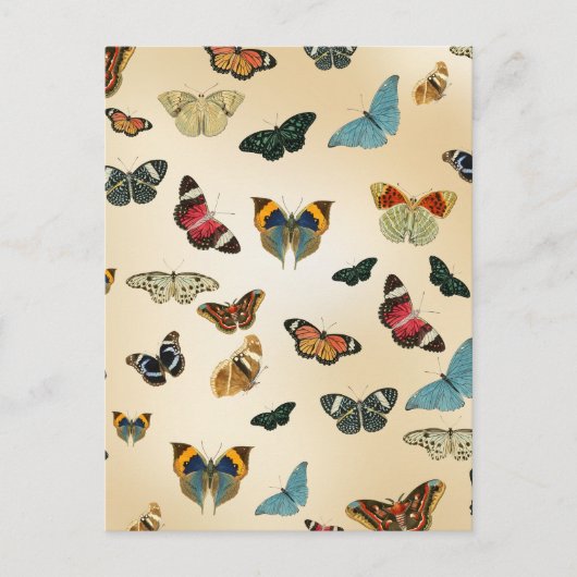 kleurrijk  patroon ter illustratie van vlinder briefkaart (Voorkant)