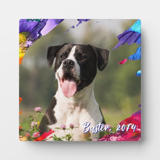 Kleurrijk penseelstreek fotolijst plaquette fotoplaat (Voorkant)