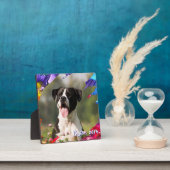 Kleurrijk penseelstreek fotolijst plaquette fotoplaat (Insitu)