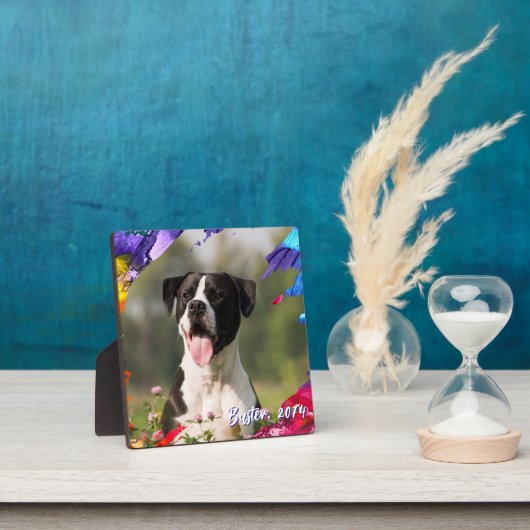 Kleurrijk penseelstreek fotolijst plaquette fotoplaat (Insitu)